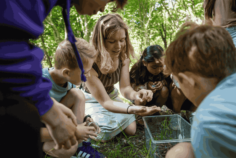 Natur på skoleskemaet: 144.000 børn skal udforske naturen i næste uge