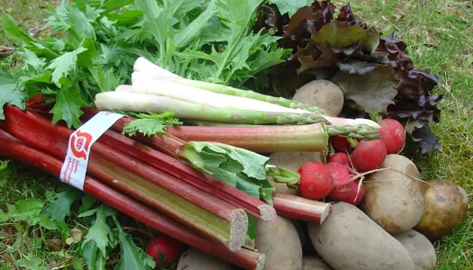  Køb lokalt og økologisk