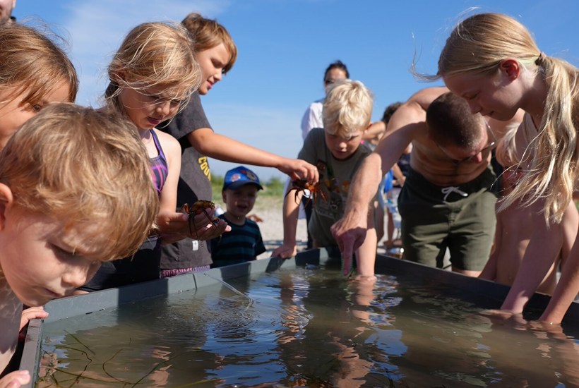 Kom til Havets Folkemøde 2025