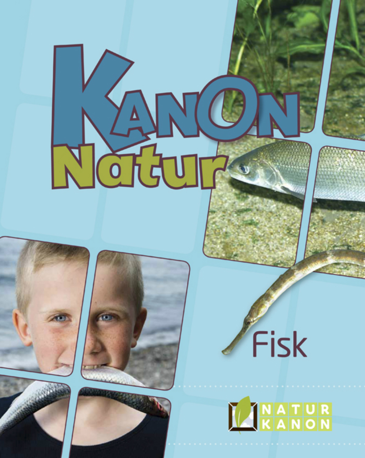 Undervisningsmaterialet Kanon natur om fisk