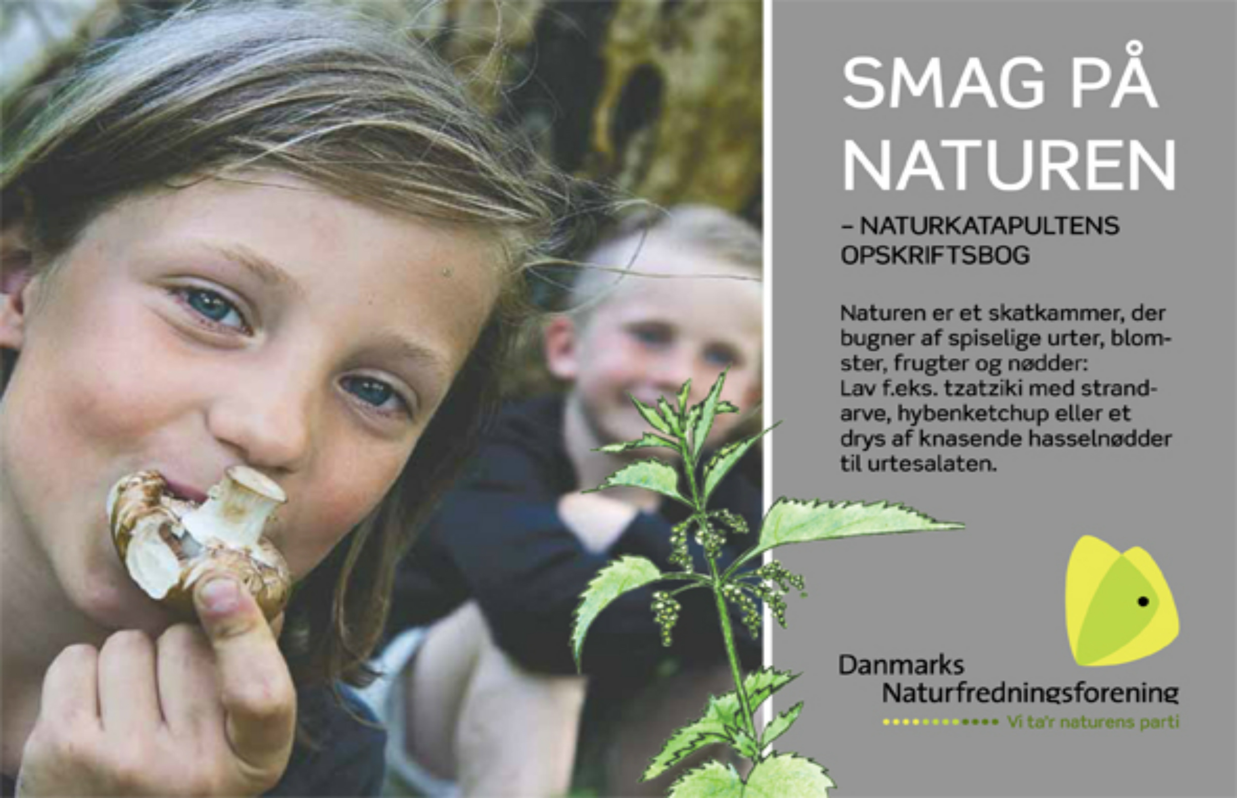 Undervisningsmateriale for skoler om at smage på naturen - en opskriftsbog