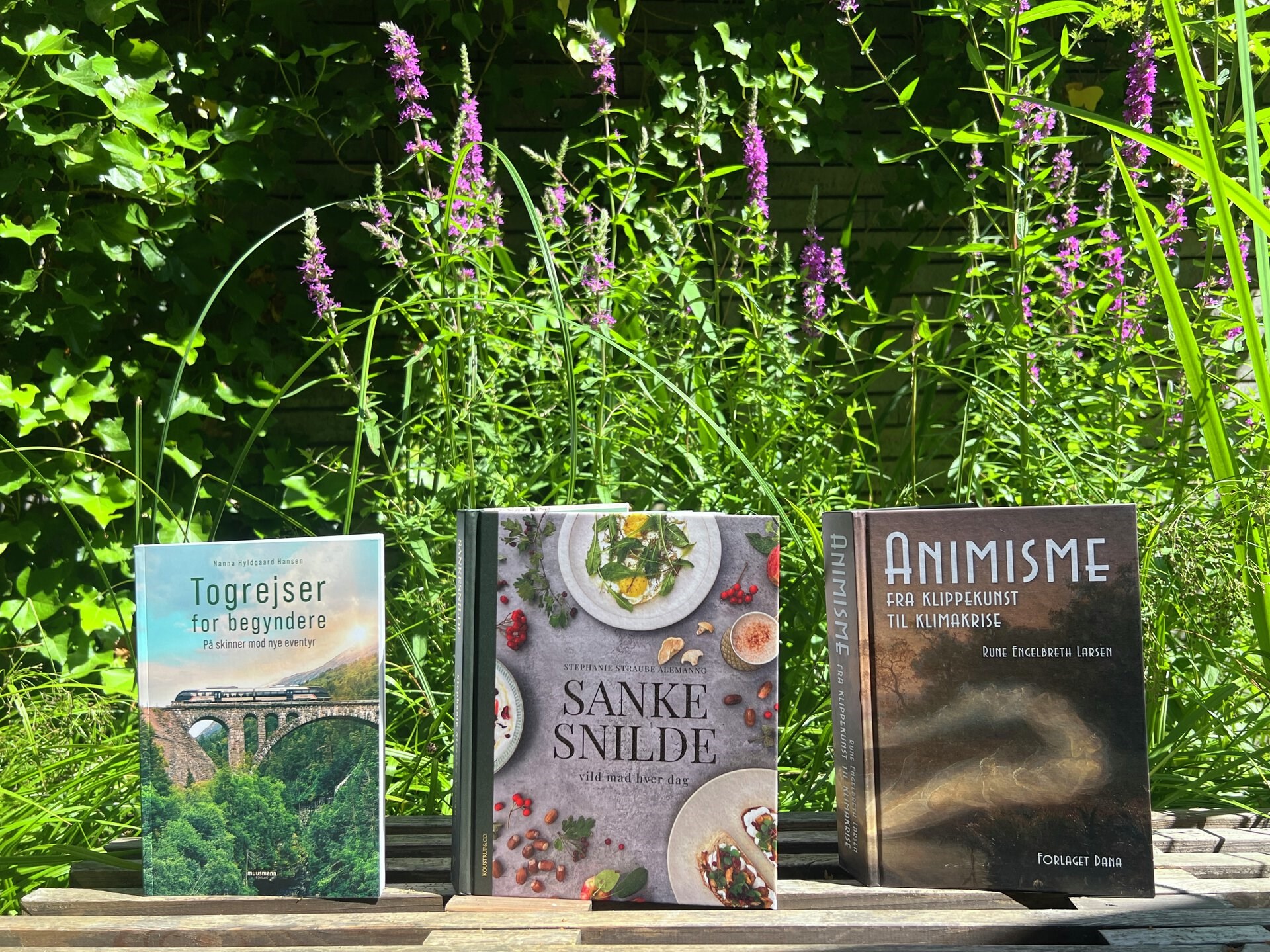 Anbefalinger af gode bøger til sommerferien