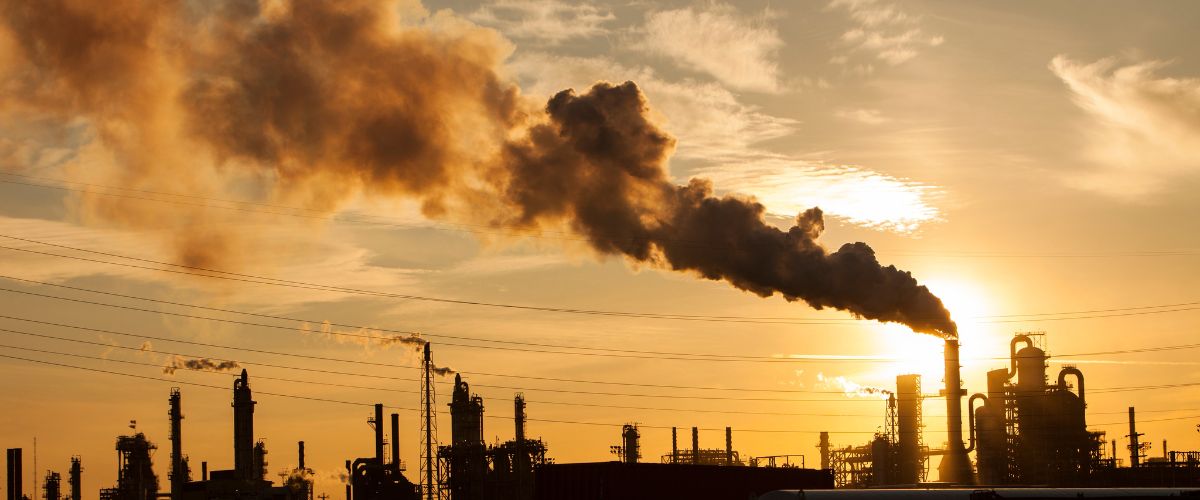Overset rapport afslører: Regeringens klimapolitik dumper