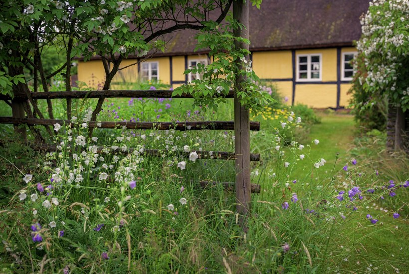 5 tips til den vilde have i september