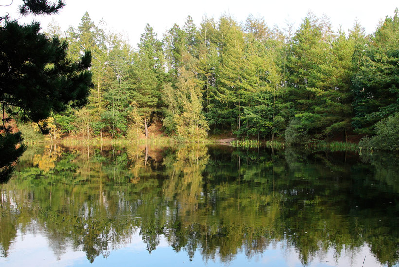 Regeringen udskyder planen for at redde søer og vandløb