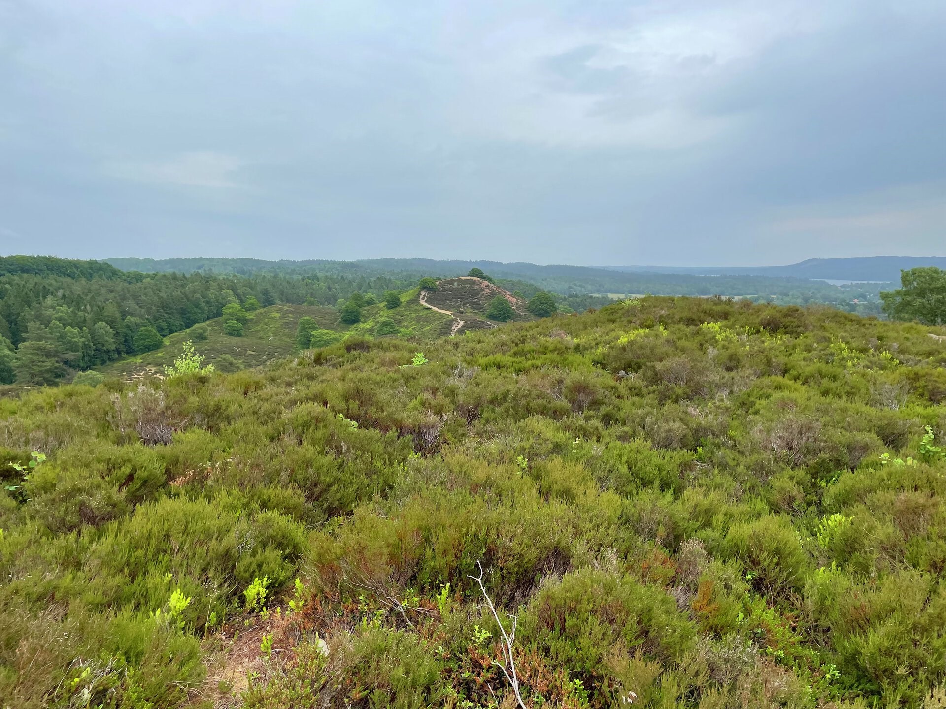 Enestående bakkelandskab med store naturværdier skal fredes
