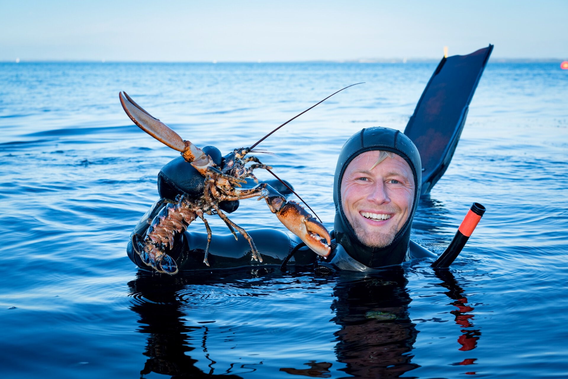 Når havet dør, rammer det danskere i kystkommuner