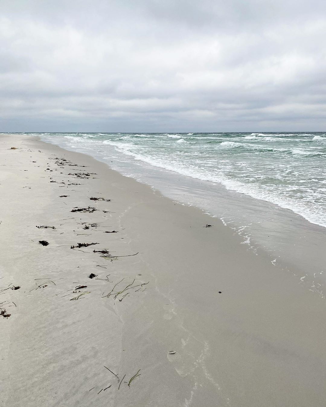 Dueodde strand med en smule tang på sandet og små bølger i havet
