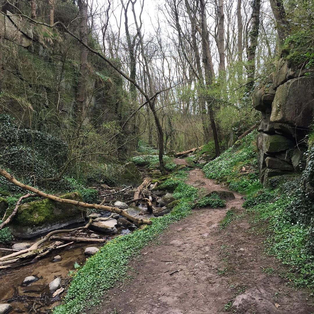 En natursti gennem svartingedalen med klipper i højreside og væltede grene og vand til venstre