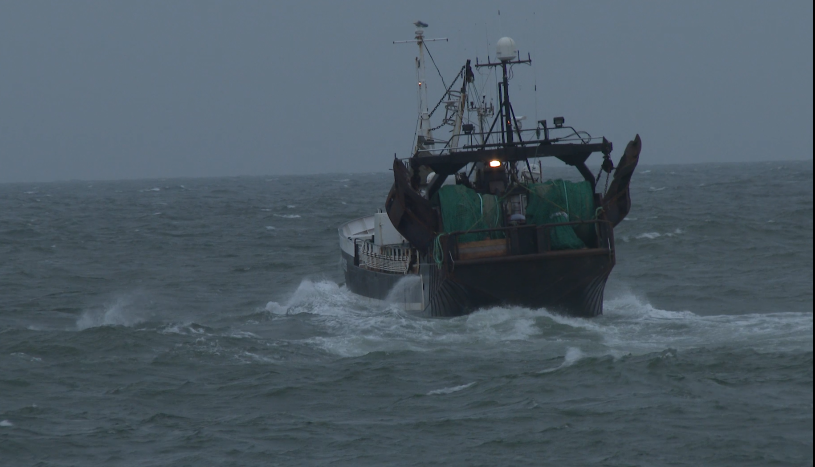 Bundtrawl dræber op mod halvdelen af bunddyrene i havet