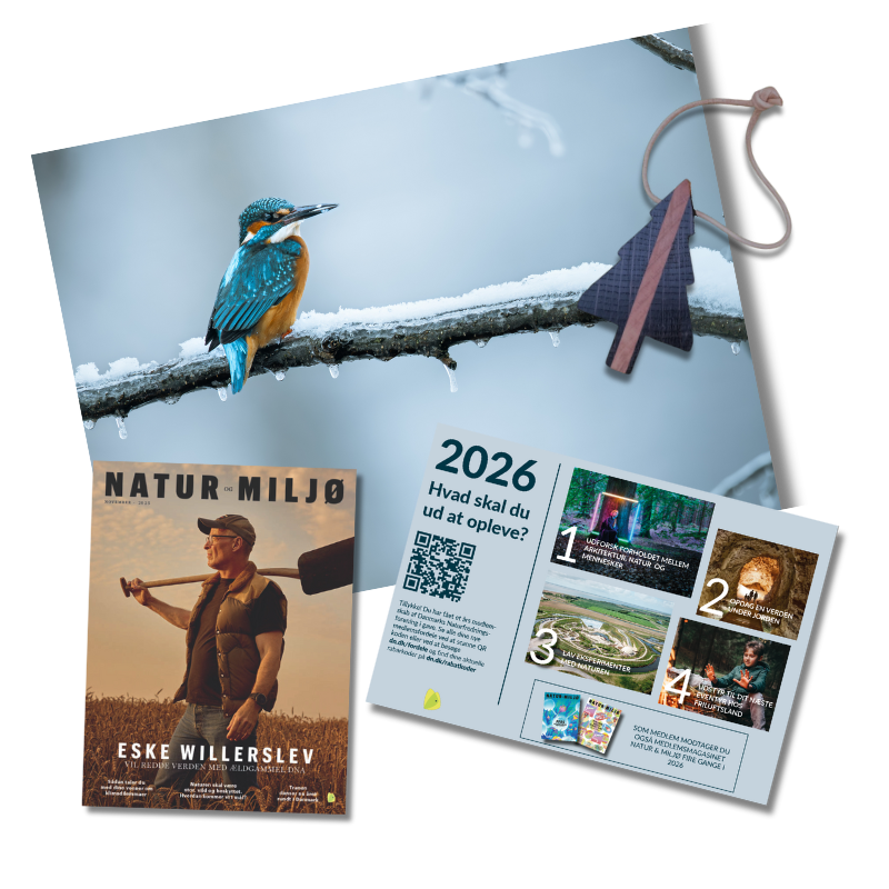 Gavemedlemskab jul 2025