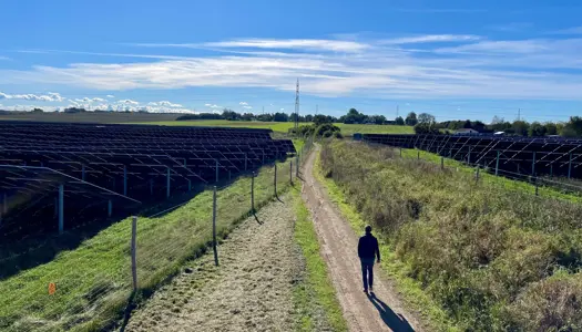 Fagligt indhold og resultater