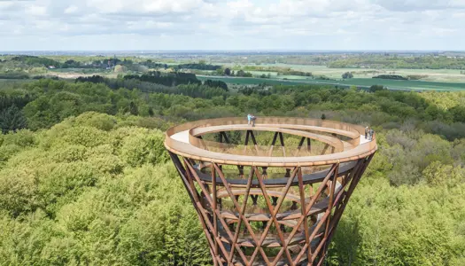 Vidunderlig udsigt: Skovtårnet