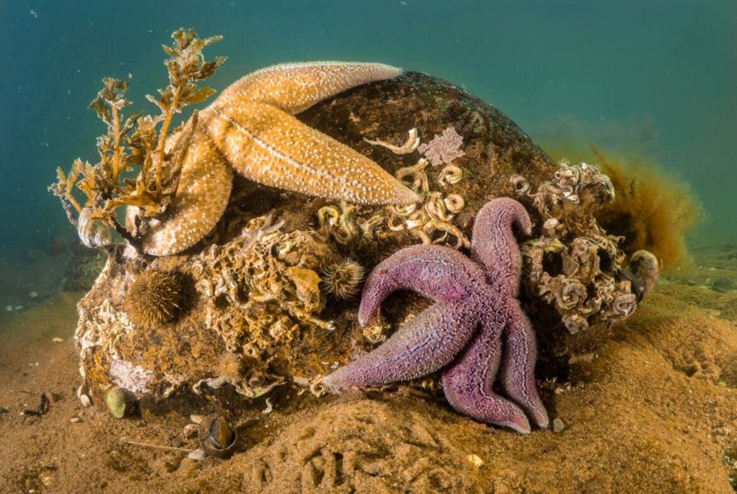 Slut med udledning af norsk oliespildevand i dansk hav