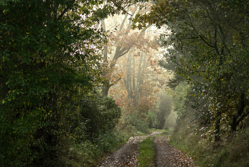 11 klimahacks: Skab en mere bæredygtig hverdag i 2023