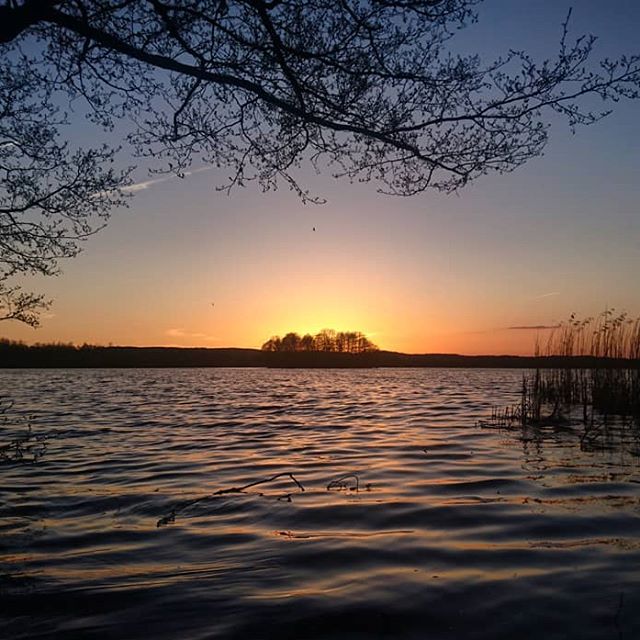 11. Fugleparadis ved Arreskov Sø