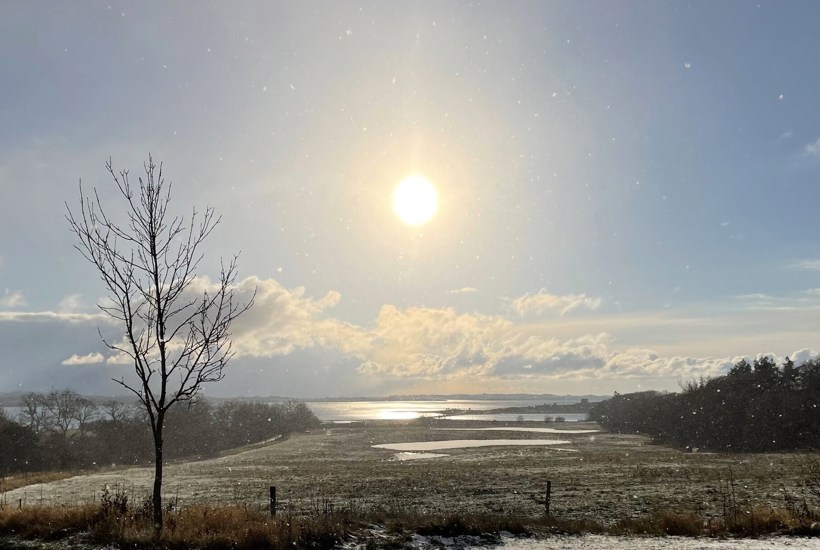 Et af Danmarks mest spektakulære godslandskaber skal fredes
