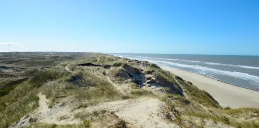  Oplev 16 vilde og smukke kyster i Danmark