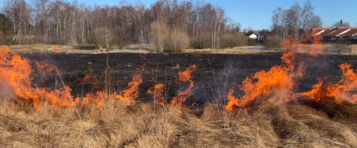 Der er ild i naturen netop nu  