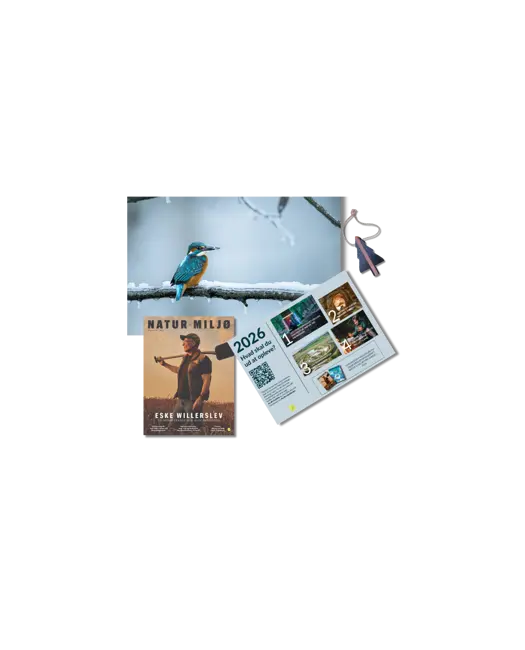 Giv et medlemskab i julegave