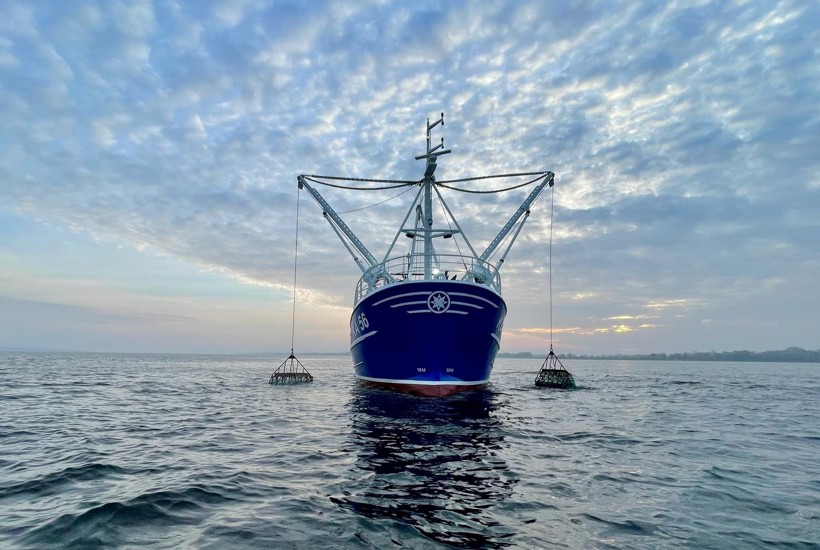Fjord er tæt på kollaps: Derfor går lokale til kamp