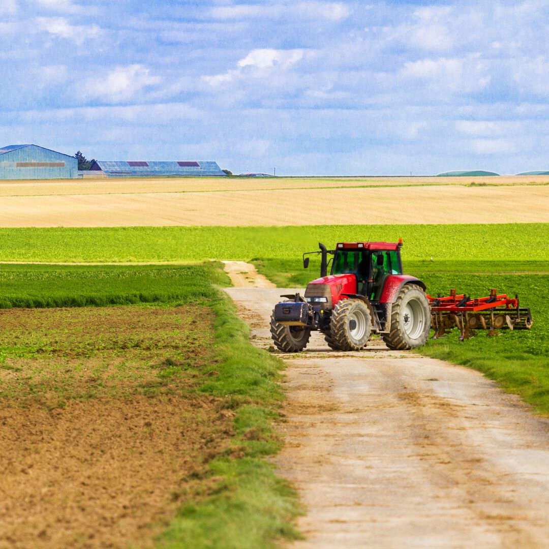 3 gode grunde til at vælge den mest ambitiøse CO2-afgift for landbruget