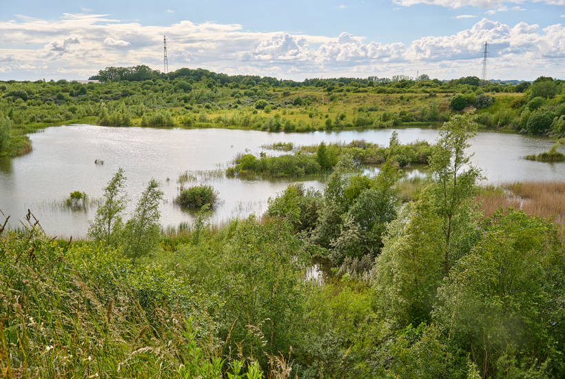En historisk mulighed for naturen midt i hovedstaden