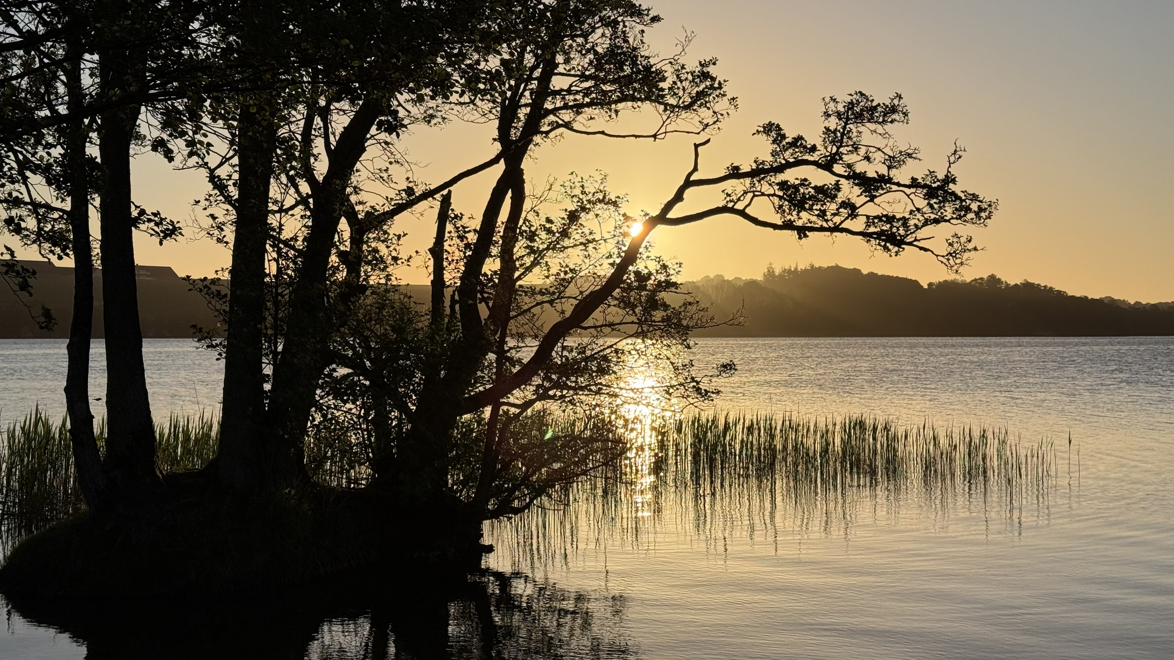 Oplev naturen, når de fleste sover - i Danmarks første naturnationalpark