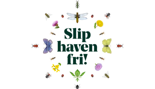 Få gratis tips og inspiration