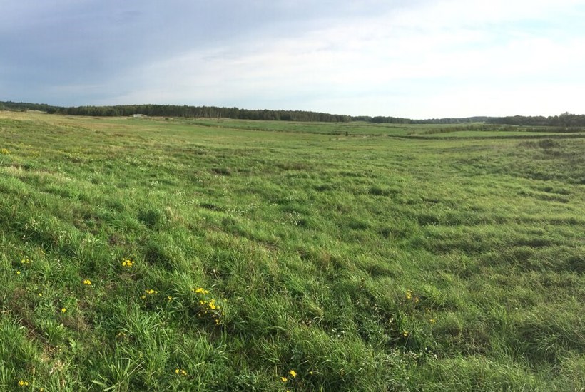 Flere af forsvarets naturområder skal fredes 