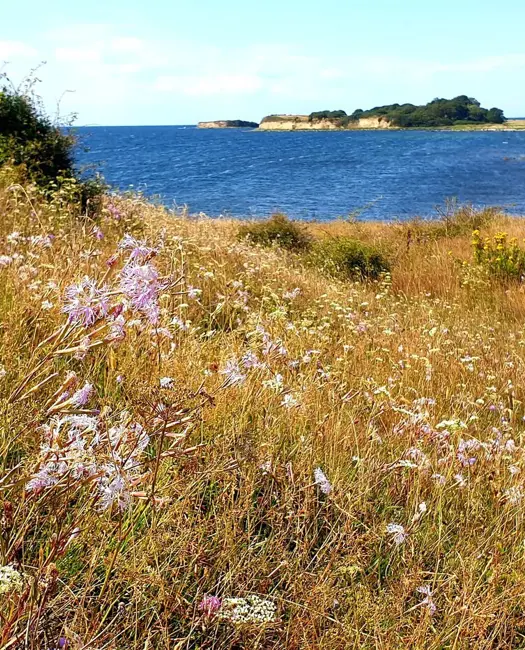 Fra dyrket land til den vildeste natur 
