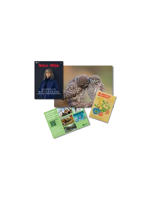 En gave, der får håbet til at spire🌱