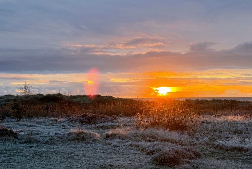 Nyt Danmarkskort: Planer for et grønnere Danmark er på plads
