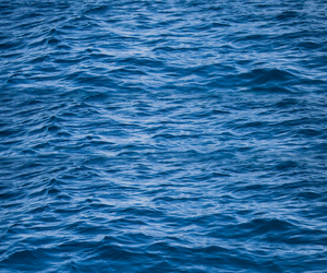 Design uden navn (8).png