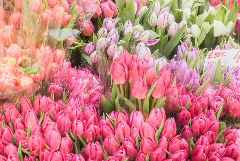 Klassisk Mors Dag-gave kan være skidt for natur og klima