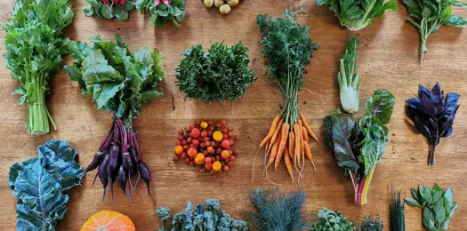 Stem med din indkøbskurv! 