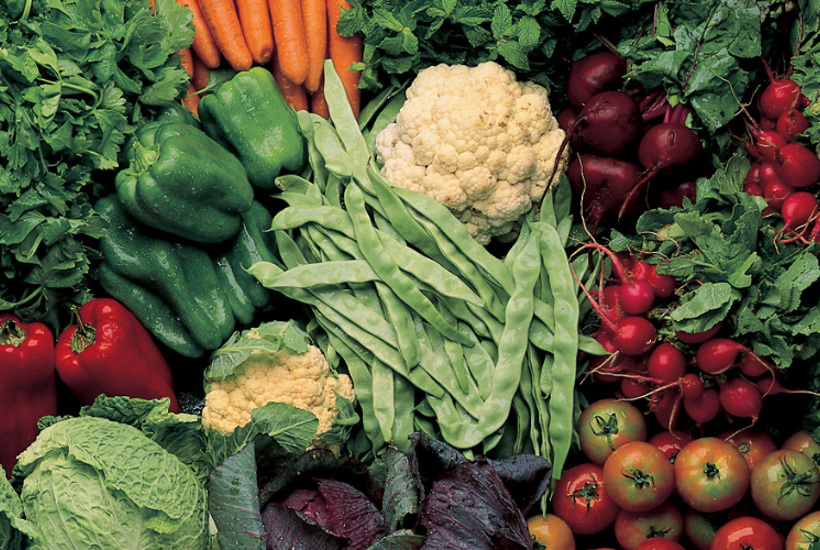 Hvor bæredygtigt er dit liv?