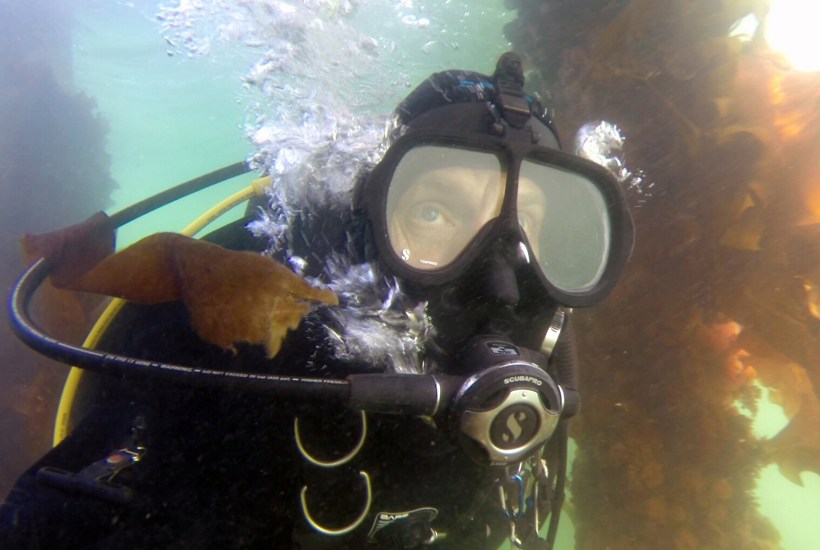 Dykkeren Martin ser med egne øjne sit hav forsvinde