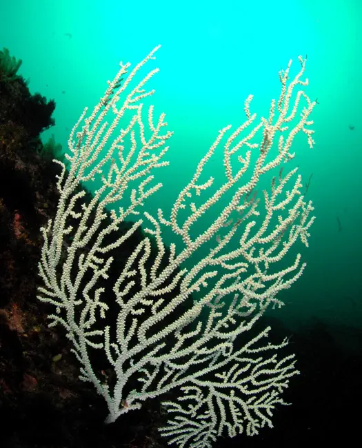 Fra vrede fiskere til glade fiskere