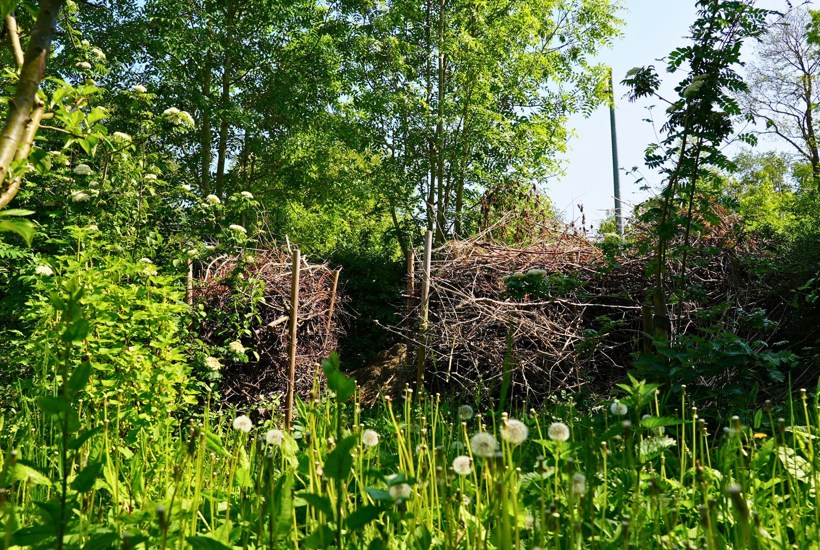 3 grunde til at bygge et kvashegn 