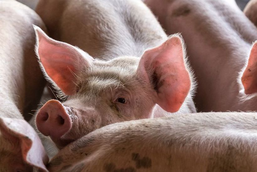 Danskere ønsker et nyt landbrug
