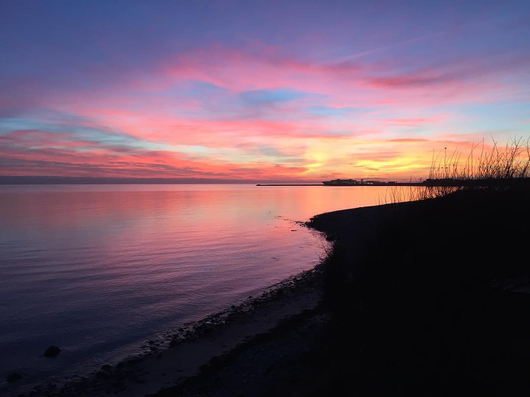 15. Smuk kyst på Sjællands Odde