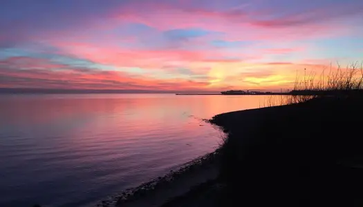 15. Smuk kyst på Sjællands Odde