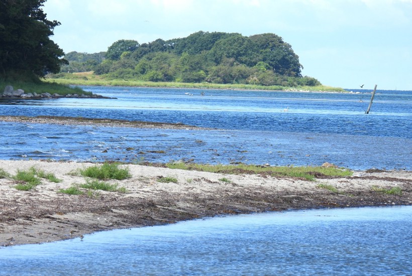 Iltsvind: I dag for 38 år siden udløste en spand døde hummere store politiske løfter. Men...