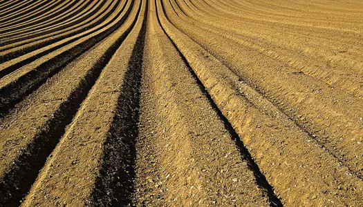 Forurenende jorde skal være mindre attraktive