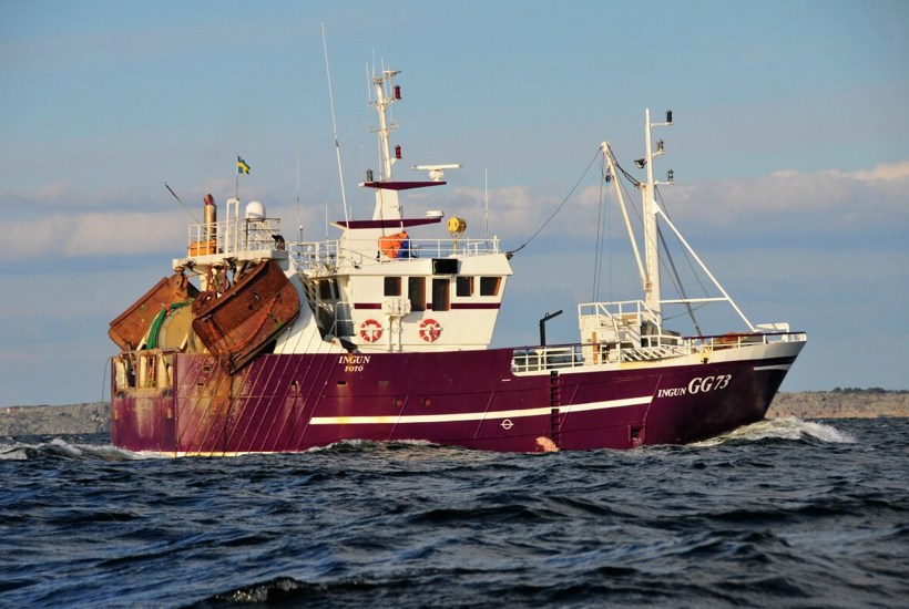 På trods af forbud har fiskere trawlet i årevis: Nu bliver trawlforbud håndhævet 
