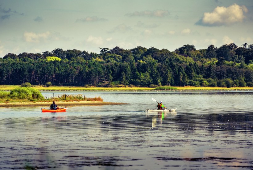 Red vores fjorde: DN sender stafet gennem 30 danske fjorde