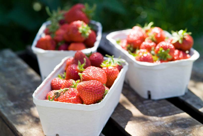 Er dine favoritter på listen? Pesticidrester i sommermaden