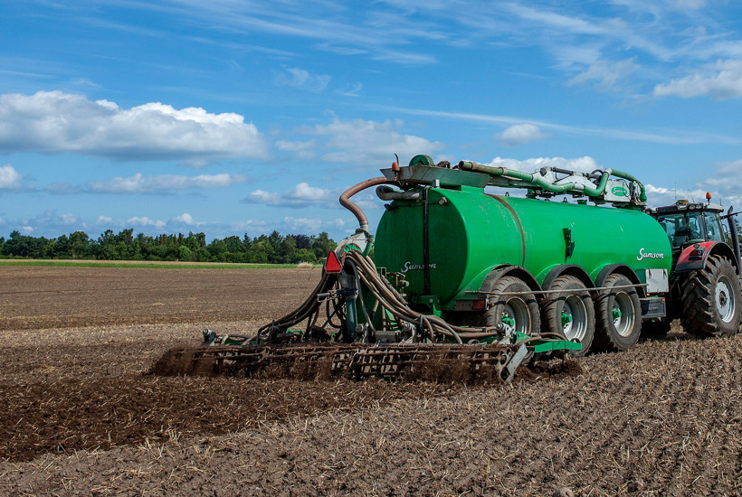 Grønne NGO’er klager til EU: Danmark svigter havmiljøet