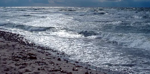 Fakta: Hvad er et havbrug?
